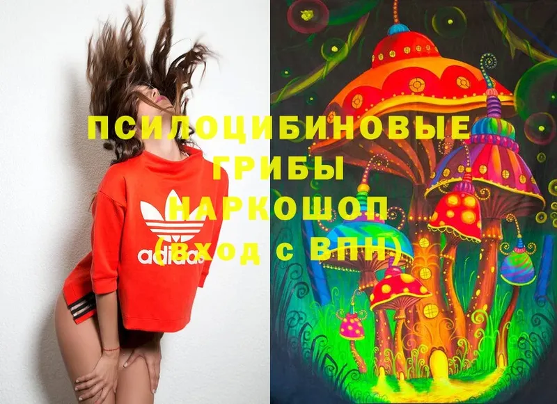 Галлюциногенные грибы MAGIC MUSHROOMS  закладка  Удомля 